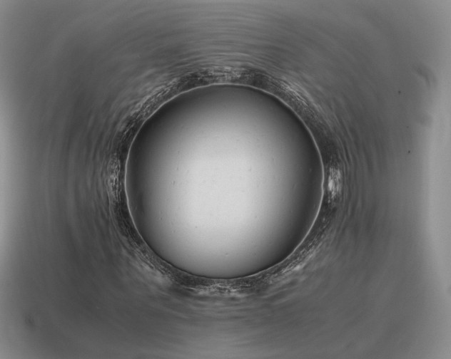 X0000115600867200911101404