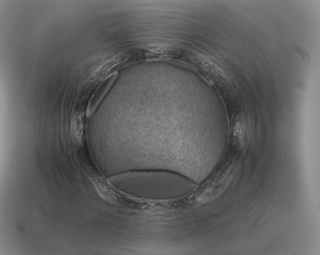 X0000115600868200911101404