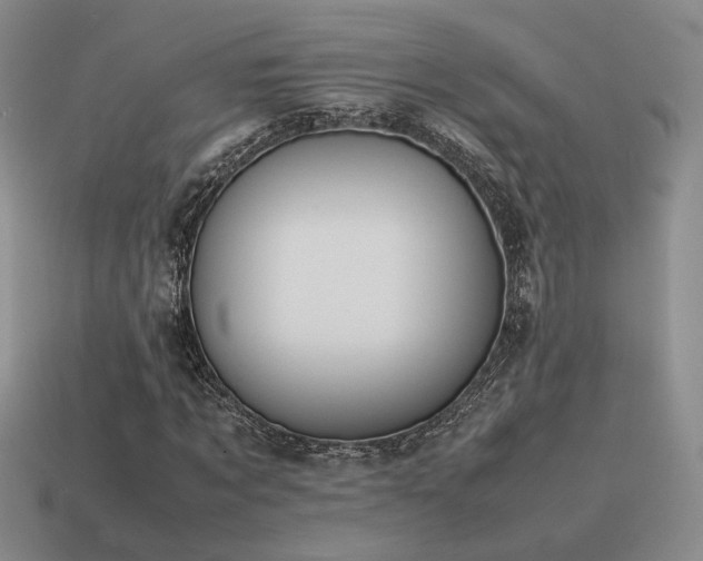 X0000115600869200911101404