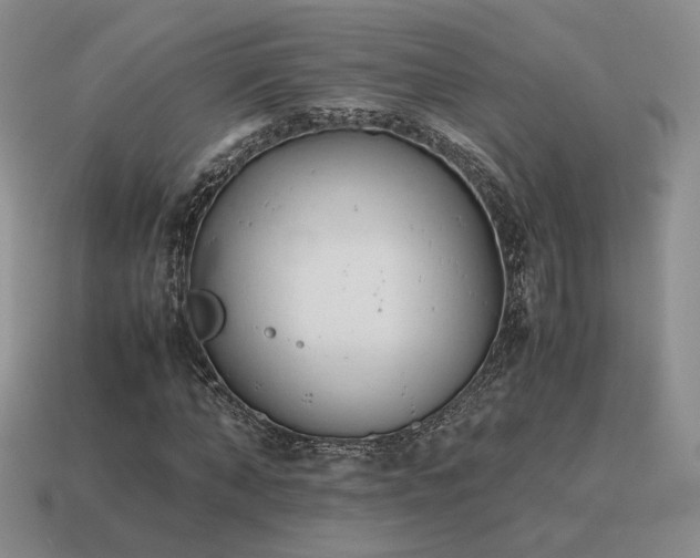 X0000115600870200911101404