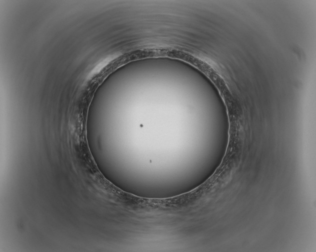 X0000115600871200911101403