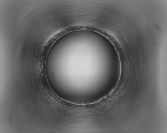 X0000115600872200911101403
