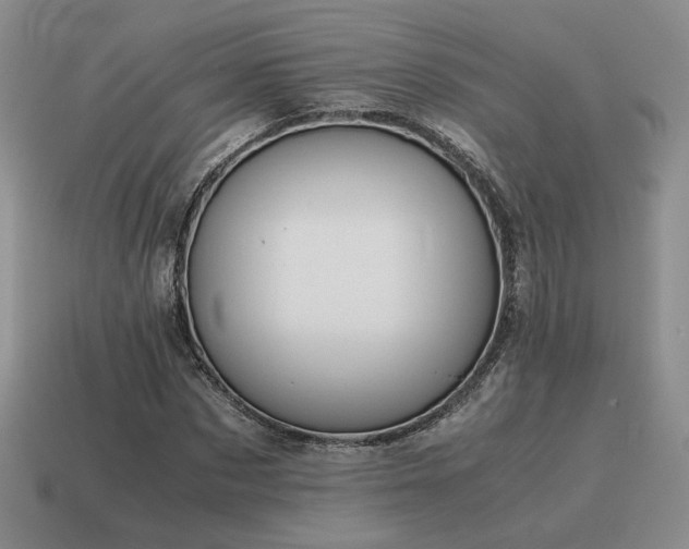 X0000115600873200911101403