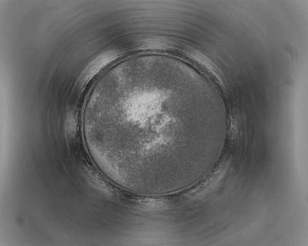 X0000115600874200911101403