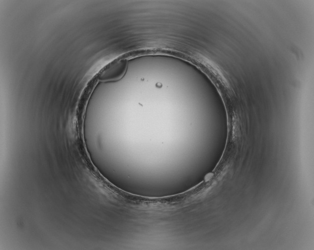 X0000115600876200911101403