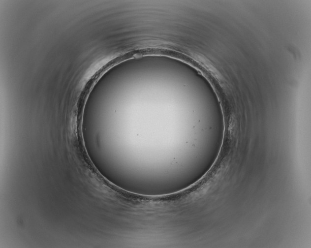 X0000115600877200911101403