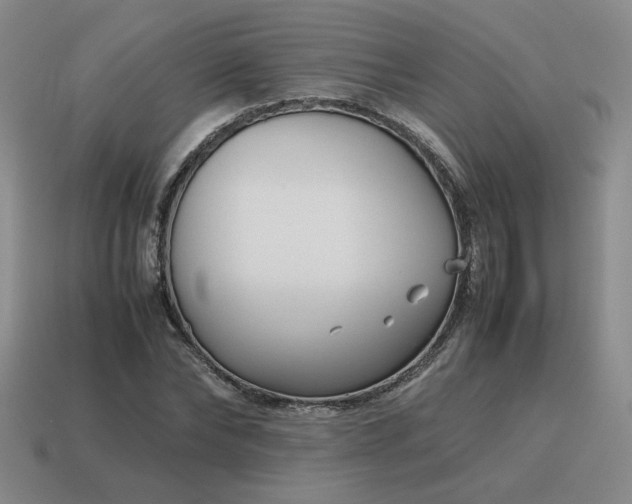 X0000115600878200911101403