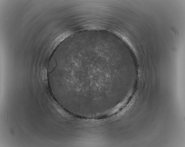 X0000115600881200911101403