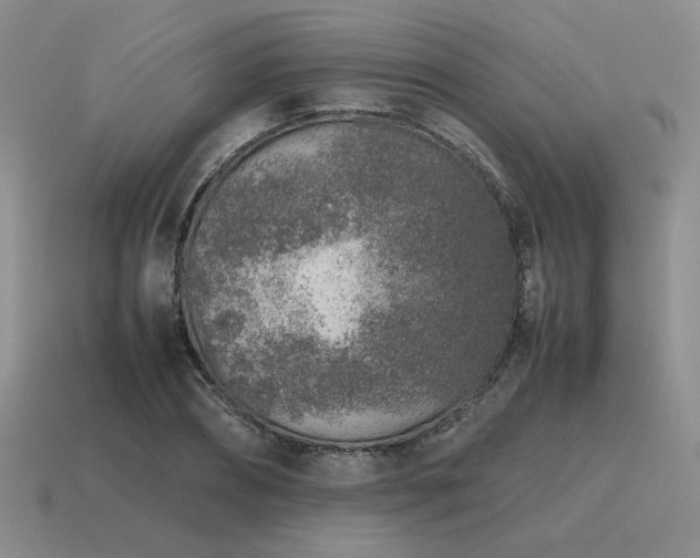 X0000115600882200911101403