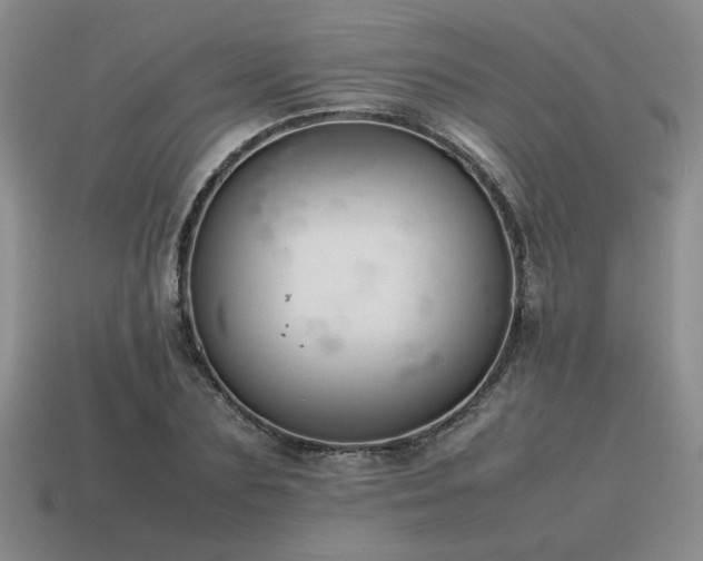 X0000115600883200911101403