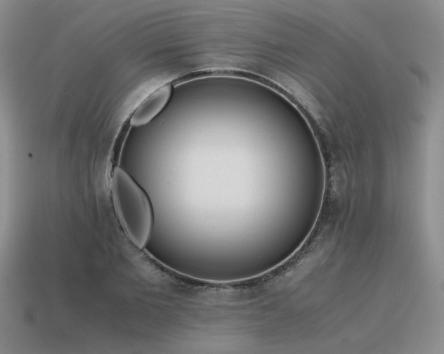 X0000115600885200911101403