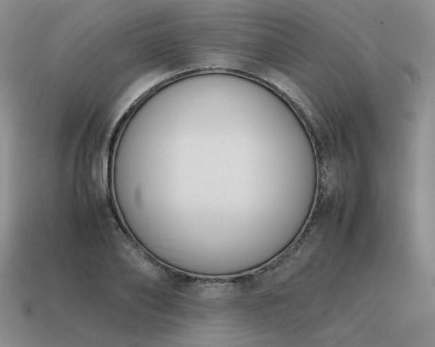 X0000115600886200911101403