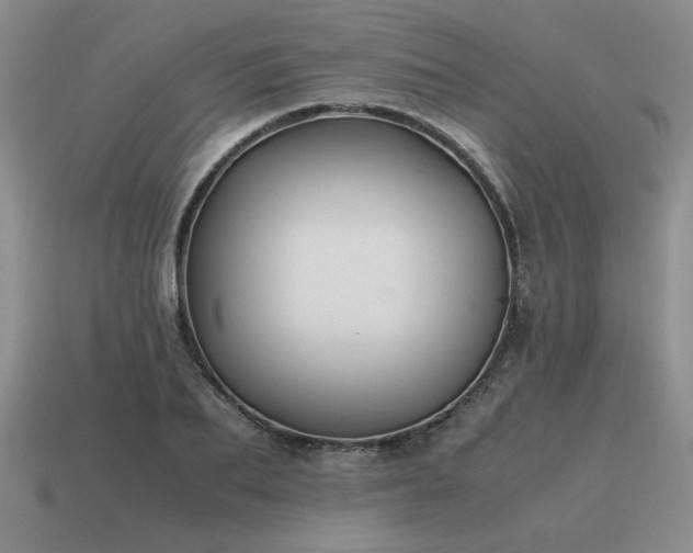 X0000115600887200911101403
