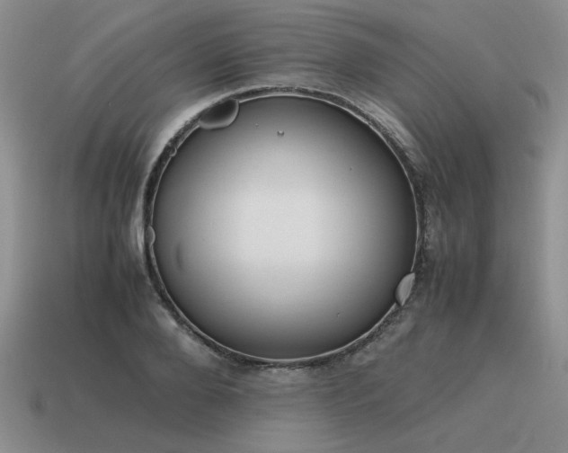 X0000115600888200911101403