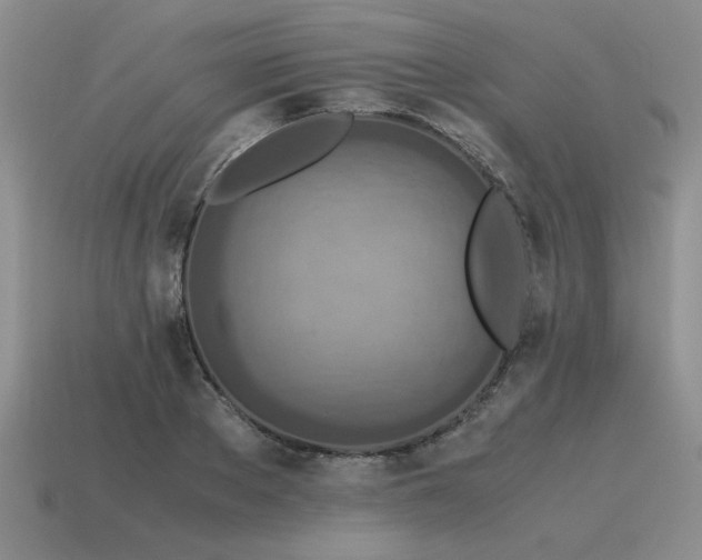 X0000115600889200911101403