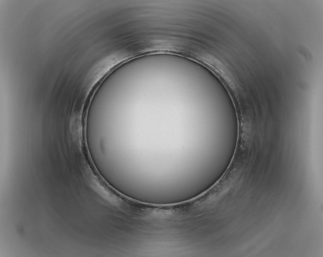 X0000115600890200911101403