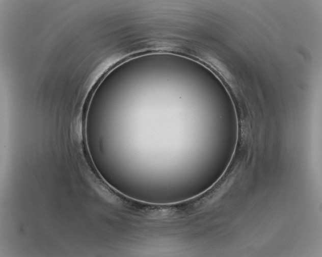 X0000115600891200911101403