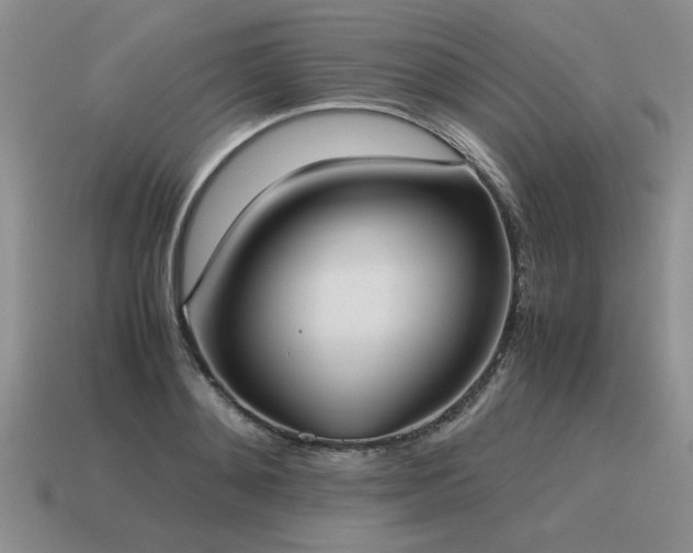 X0000115600892200911101403