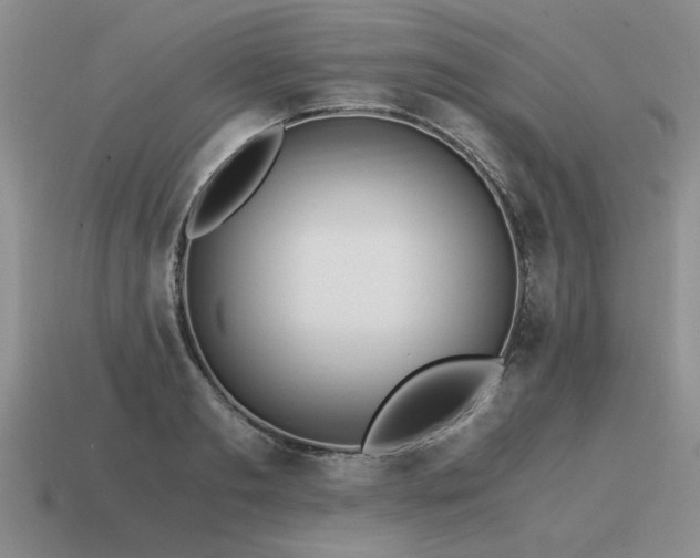 X0000115600893200911101403