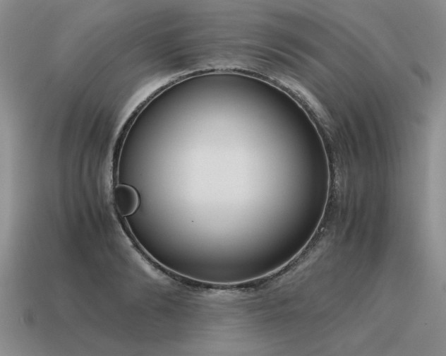 X0000115600894200911101403