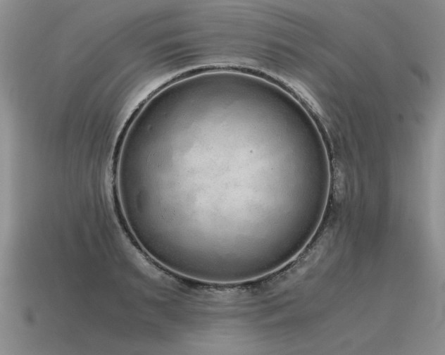 X0000115600895200911101403