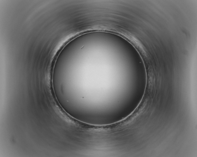X0000115600896200911101403