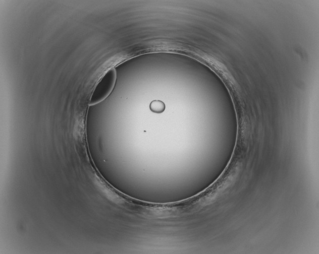 X0000115600897200911101403