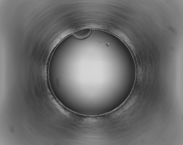 X0000115600898200911101403