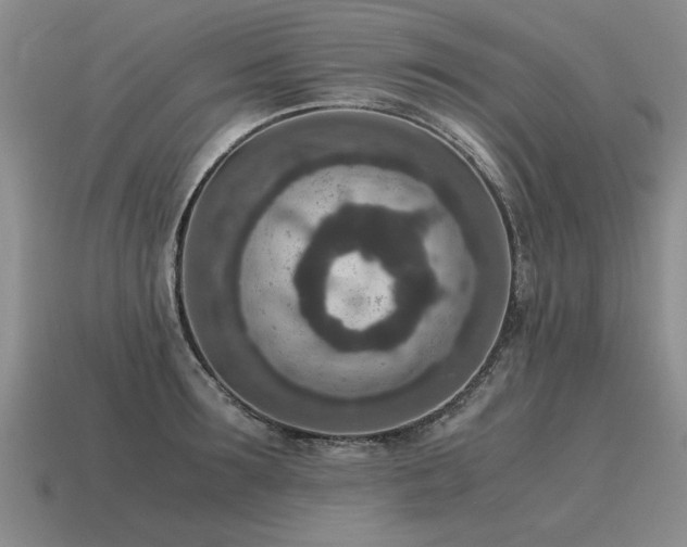 X0000115600899200911101403