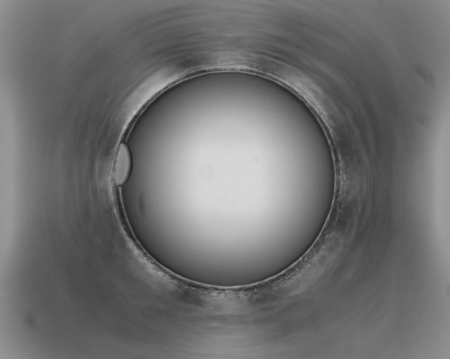 X0000115600901200911101403