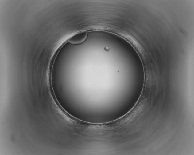 X0000115600902200911101403