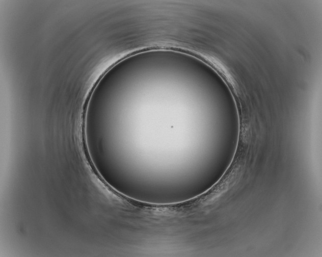 X0000115600903200911101403