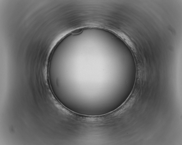 X0000115600904200911101403