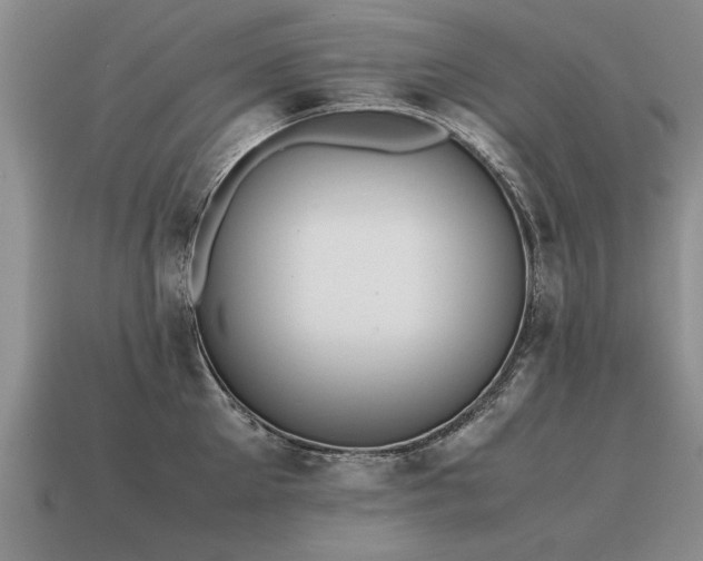 X0000115600905200911101403