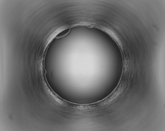 X0000115600906200911101403