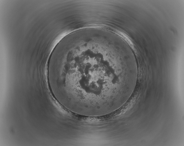 X0000115600907200911101403