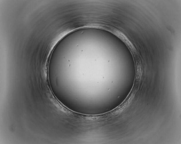 X0000115600908200911101403