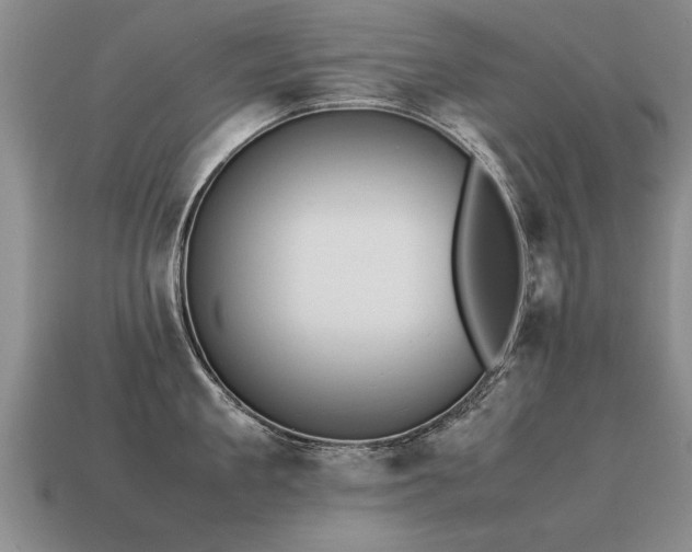 X0000115600909200911101403