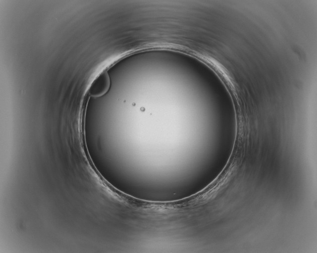 X0000115600910200911101403