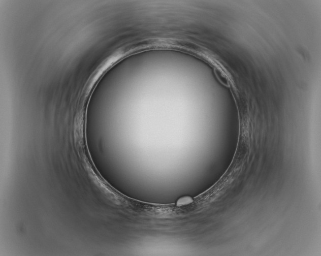 X0000115600911200911101403