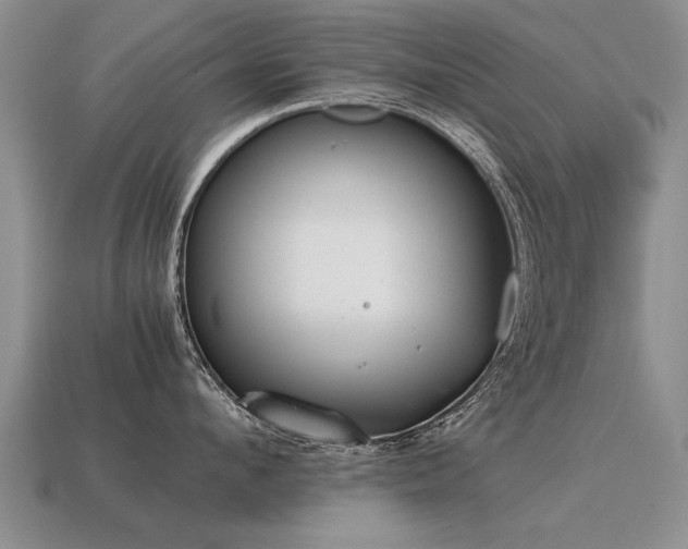X0000115600912200911101403