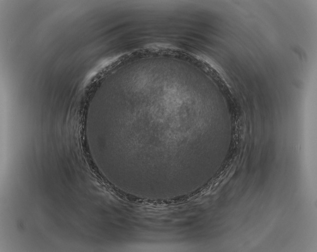 X0000115600919200911101402