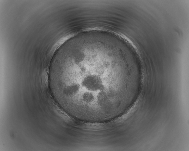 X0000115600921200911101402