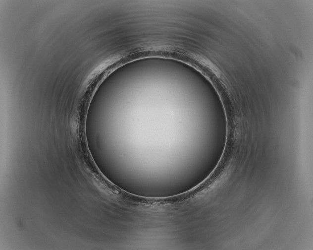 X0000115600922200911101402