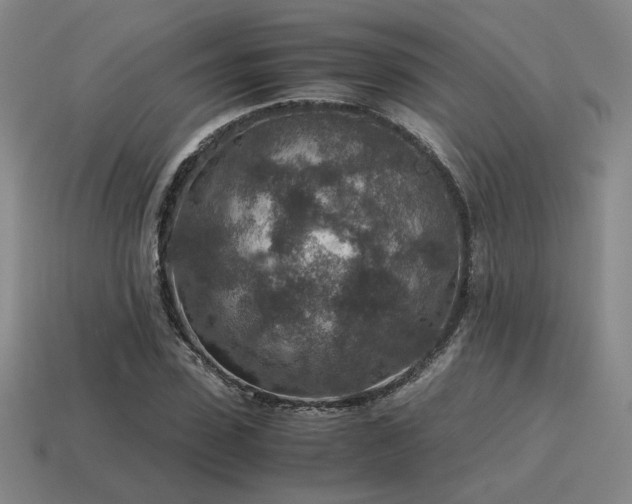 X0000115600923200911101402