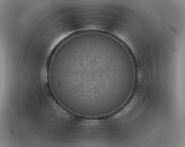 X0000115600925200911101402