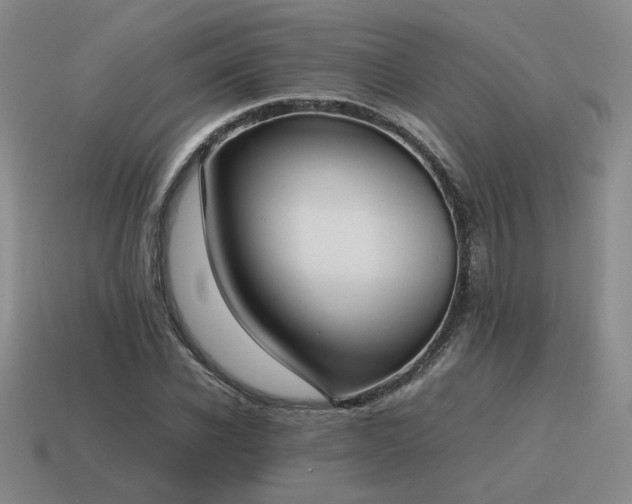 X0000115600926200911101402