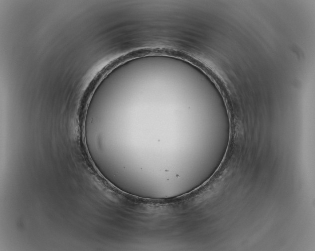 X0000115600927200911101402