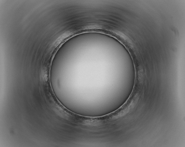 X0000115600929200911101402