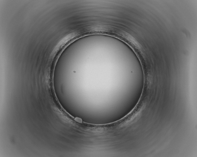 X0000115600930200911101402